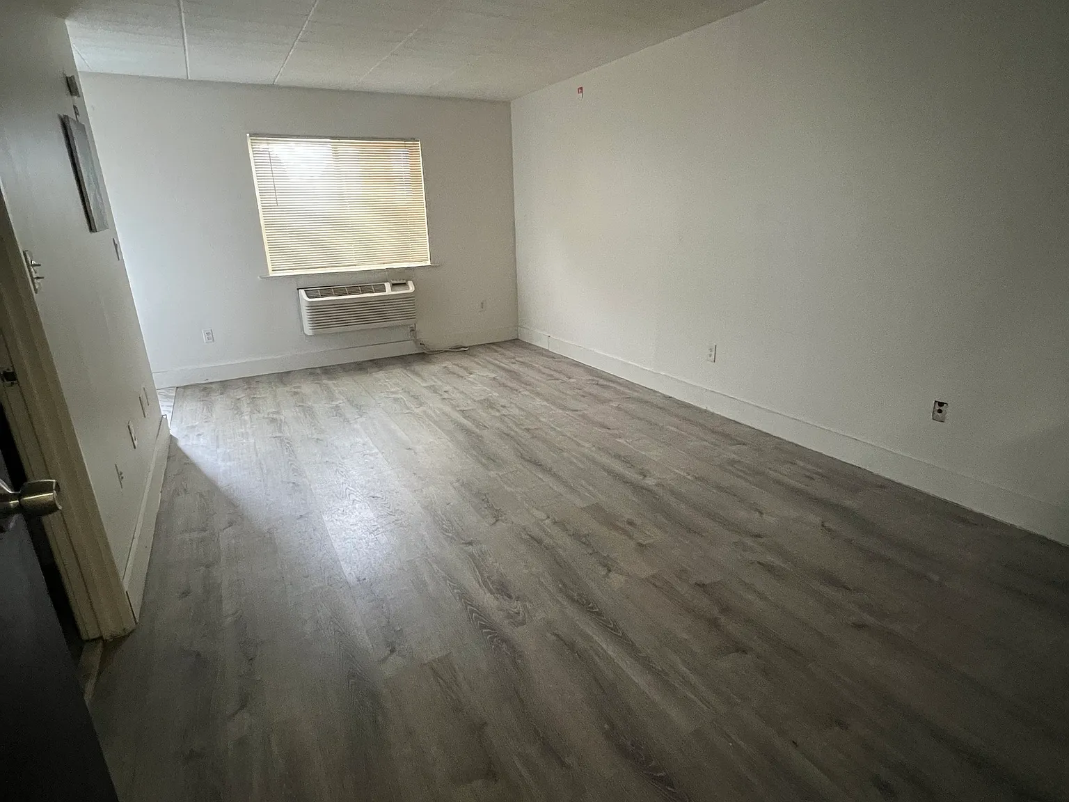 1 bed, 549 sqft, $1,350 — Photo 3
