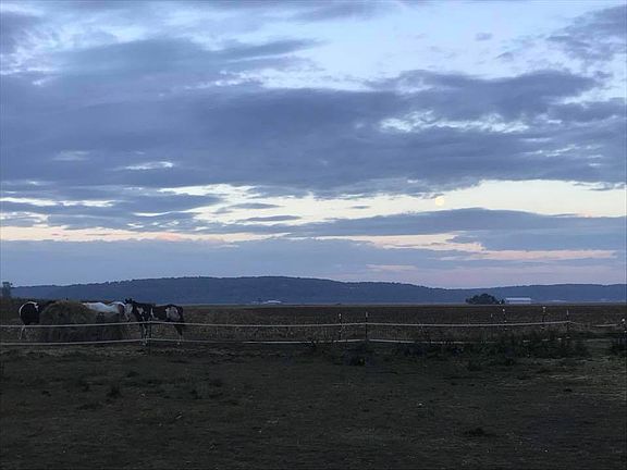 View over the back pasture
