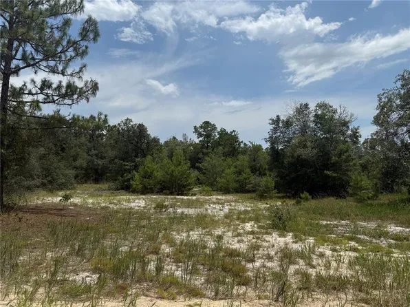 129 Viola Dr, Hawthorne, FL 32640