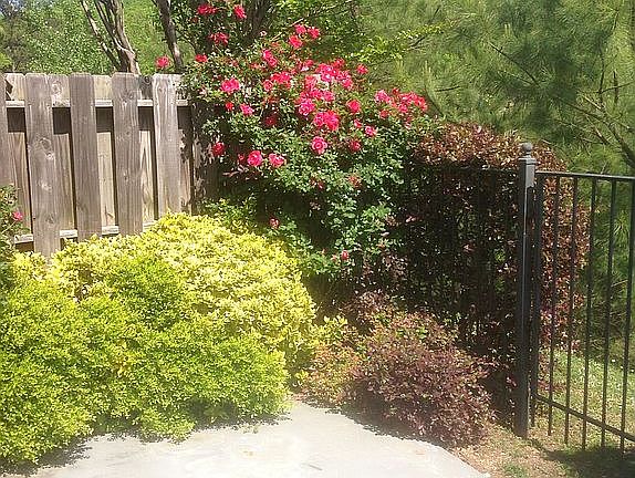 Patio in back