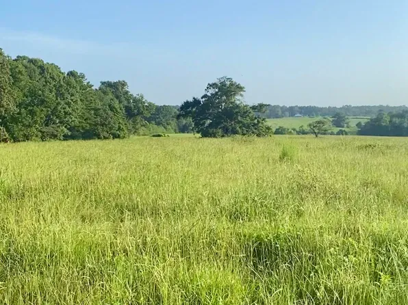 115 Pump Branch Rd, Wiggins, MS 39577