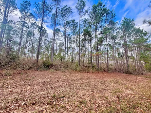 2 Fm 1005, Jasper, TX 75951