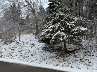 361 N West Ridge Rd, Snowshoe, WV 26209