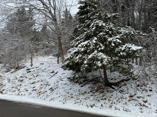 361 N West Ridge Rd, Snowshoe, WV 26209