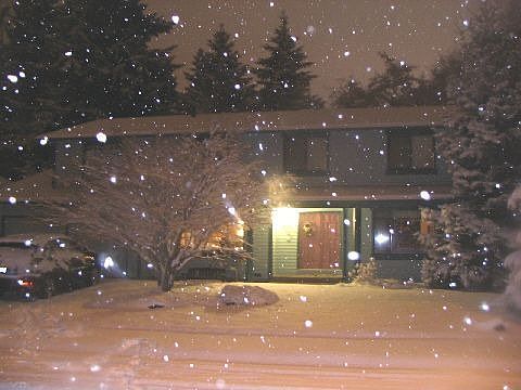 2006 snowstorm