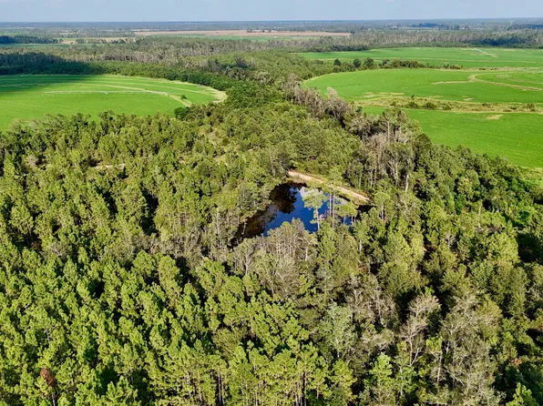 0 Rhonda Coleman Rd, Hazlehurst, GA 31539