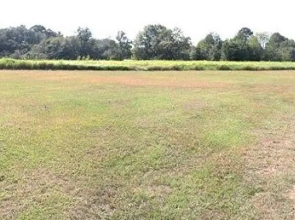 0 Ramsey Rd, Grand Bay, AL 36541