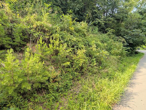 4th image of 1309 Matthews Hollow Rd