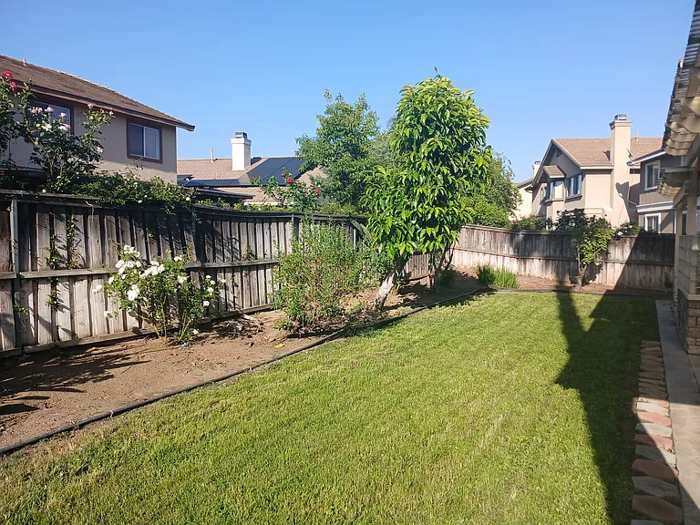 9394 Live Oak Dr — Photo 31