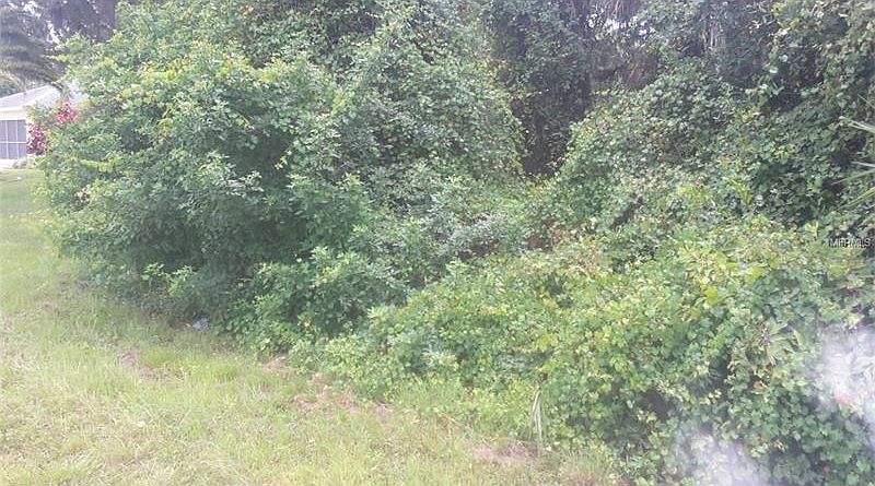1st image of 17173 Hillsborough Blvd