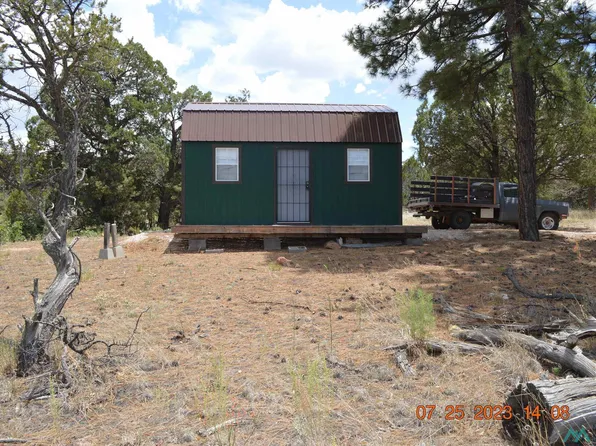 122 Pine Crst, Pinehill, NM 87357