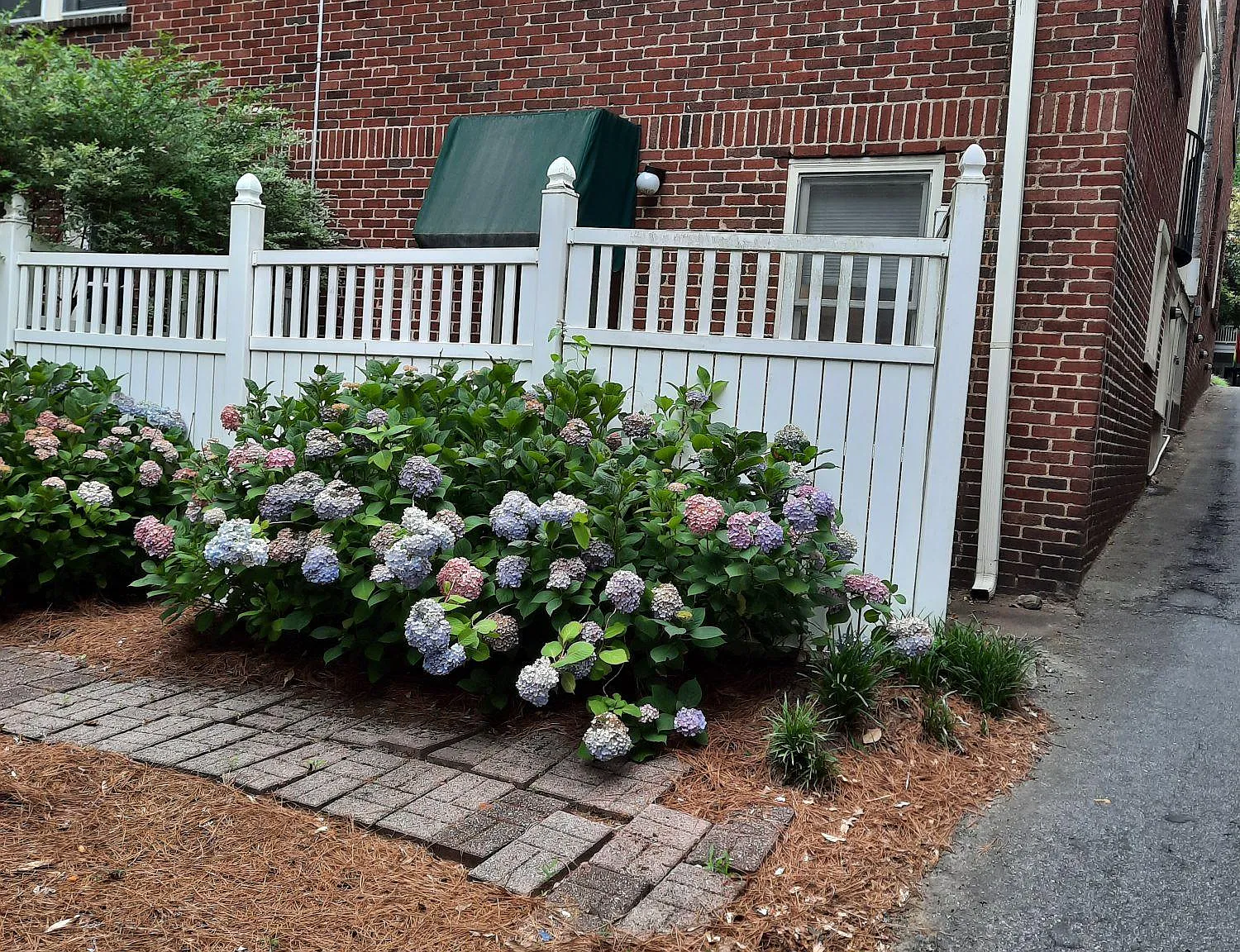 Studio, 375 sqft, $1,350 — Photo 1