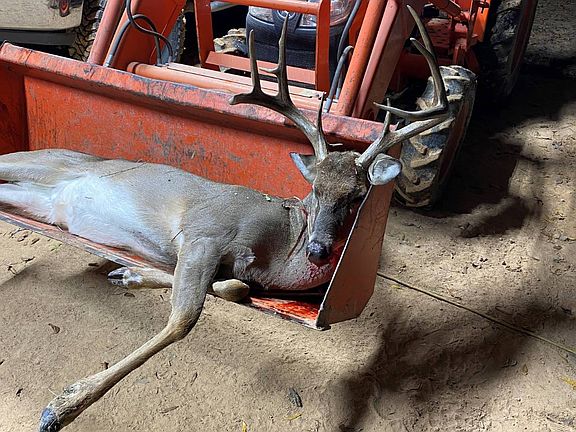 3rd image of 250 Jones Rd