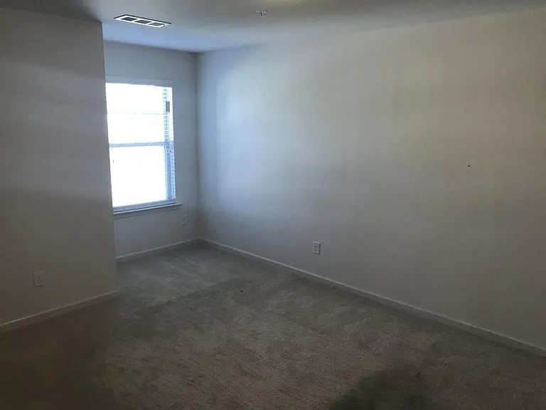 2058 Brightleaf Way — Photo 11