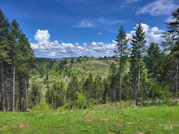 180 Harpster Dr, Stites, ID 83552