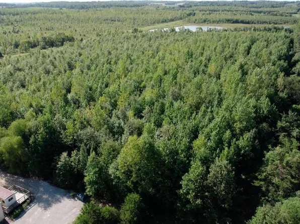 TRACT 5 Highway 169, Karnak, IL 62956