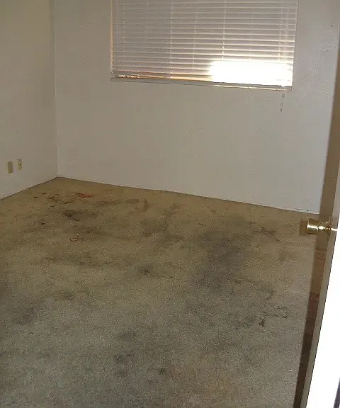 3625 W Ocotillo Rd — Photo 6