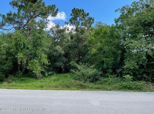 0 Cofield Ln, Spring Hill, FL 34608