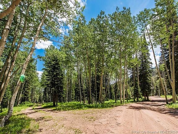 4th image of 200 White Pine Canyon Rd #200