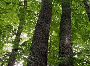 Old Mill Rd, Toivola, MI 49965