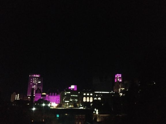 Albany city line view. Unobstructed capital view. Lite nightly.