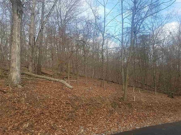 3rd image of 208 Toqua Ln
