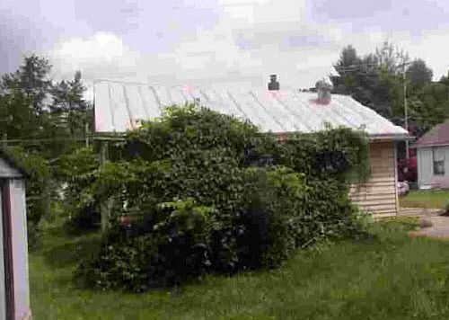 2nd image of 6130 Old Carlisle Rd