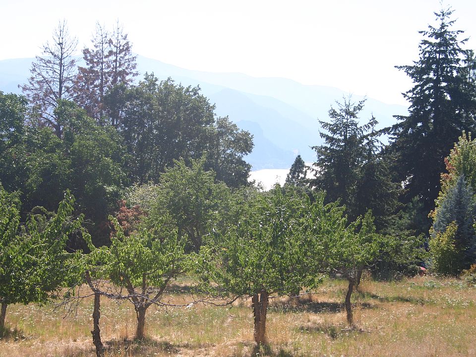 2nd image of Palos Verde
