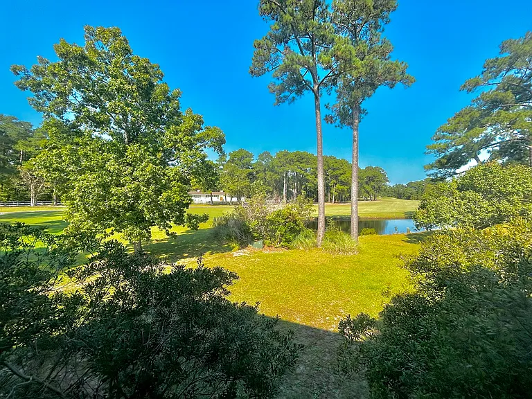 Pond/Golf Course View from Back Patio