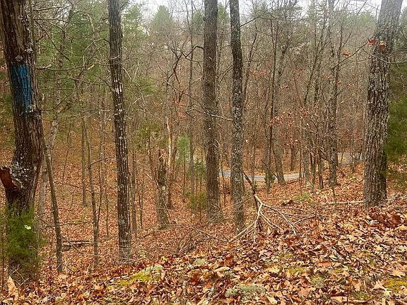 3rd image of Spitz Ln