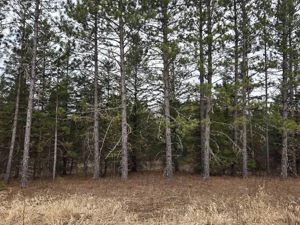 3901 Ollila Rd, Orr, MN 55771