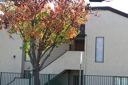 326 N San Antonio Ave E #E Photo 1