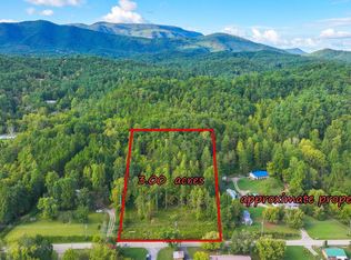 47353739 Jones Cove Rd LOT 1, Cosby, TN 37722