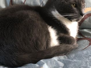 219 S Mathilda St, Pittsburgh, PA 15224