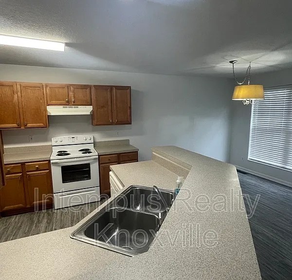3119 Pinex Ln — Photo 6
