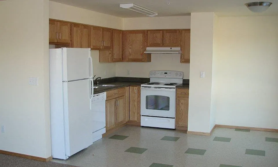 In-Unit Dishwasher