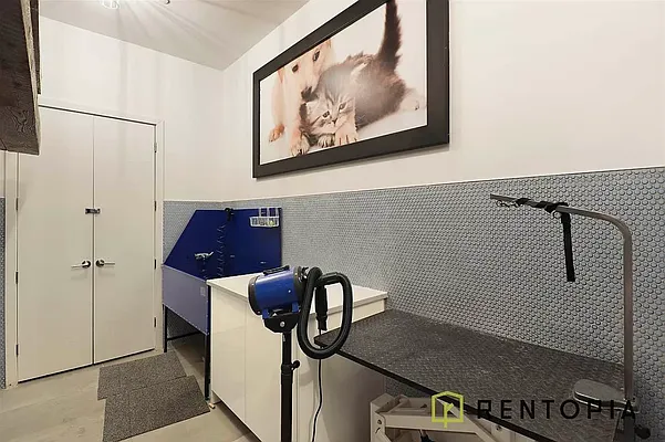 Rented by Rentopia | media 33