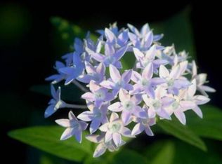 1042 Northview St, Pt Charlotte, FL 33952