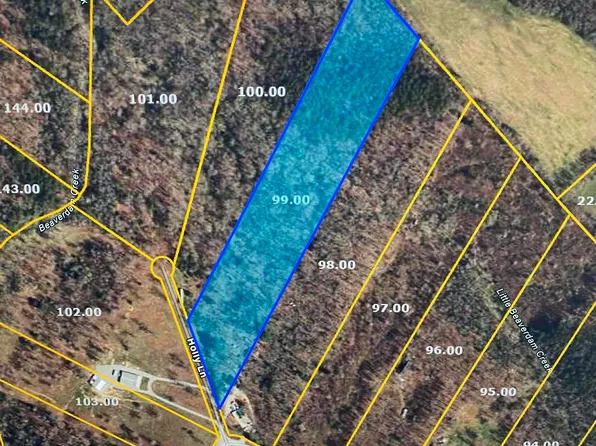 10 Holly Dr, Pikeville, TN 37367