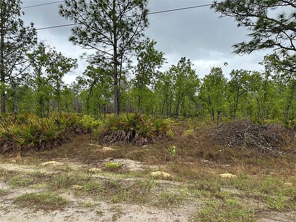 2nd image of SW 95TH PL LOT 5