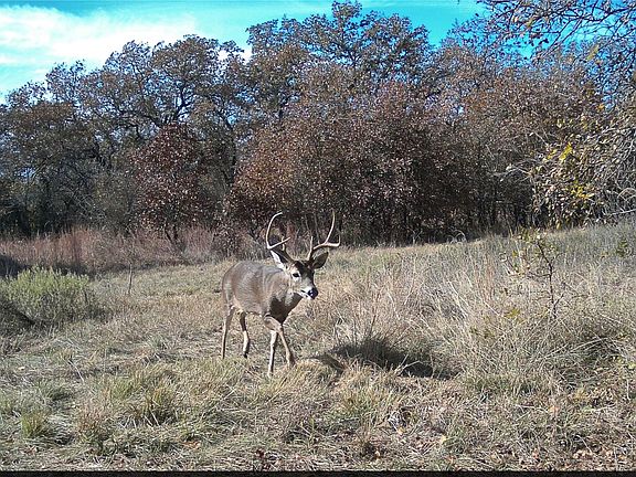 2nd image of 0 Fm 2210