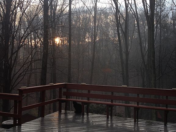 View from rear of house