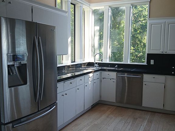 Stainless appliances, overhead skylights, corner windows looking back at the lovely trees and circular driveway. Lots of kitchen workspace