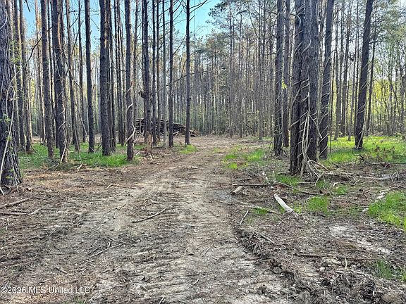 3rd image of County Road 493