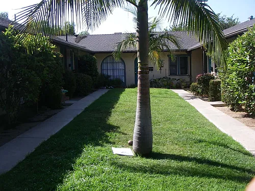 1132 Poli St Photo 1