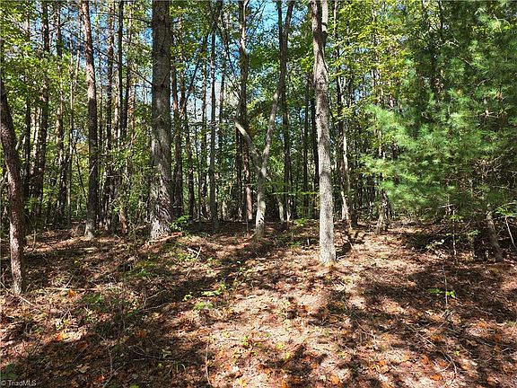 5th image of 1198 Jackson Rd #10