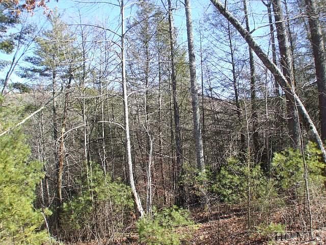 2nd image of 70 Hillside Path