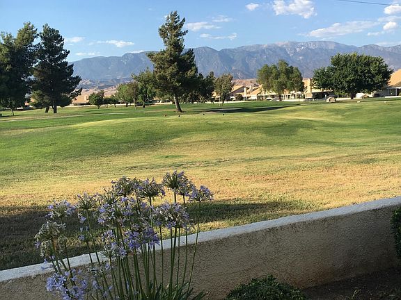 View from the back yard