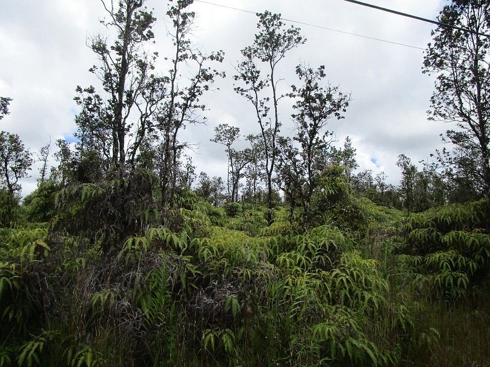 1st image of Noio St Lot 23