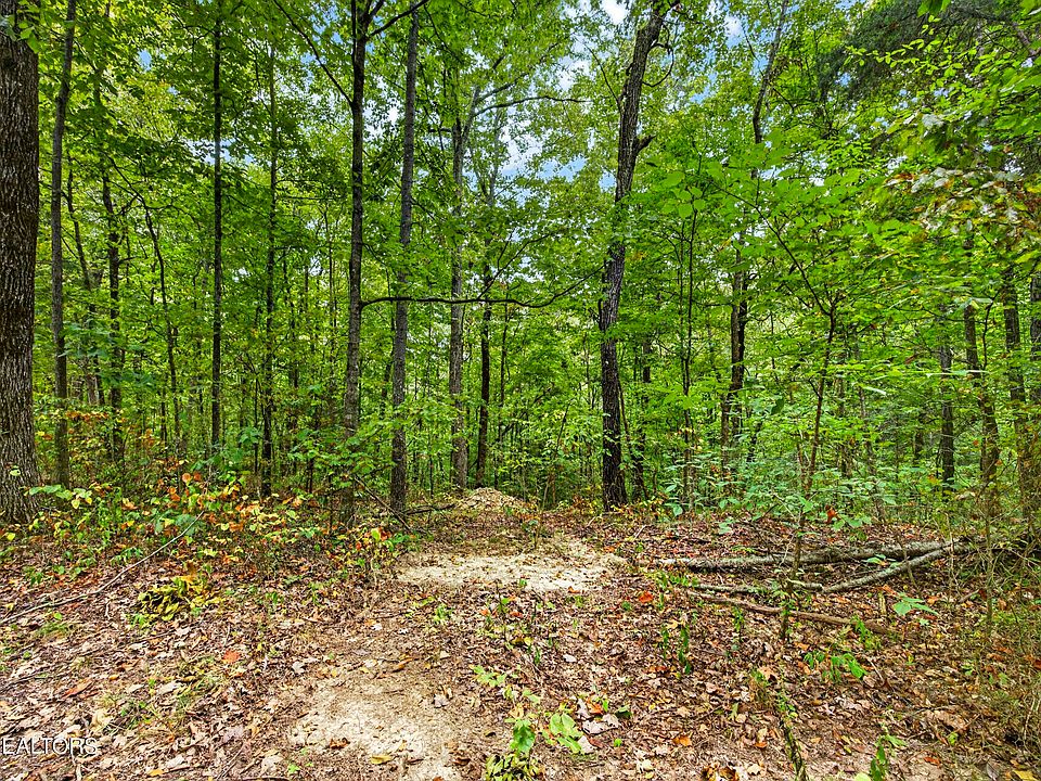 1st image of 23 Timber Ridge Ln